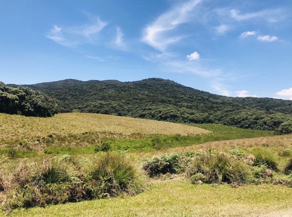 World's End viewpoint at Horton Plains National Park